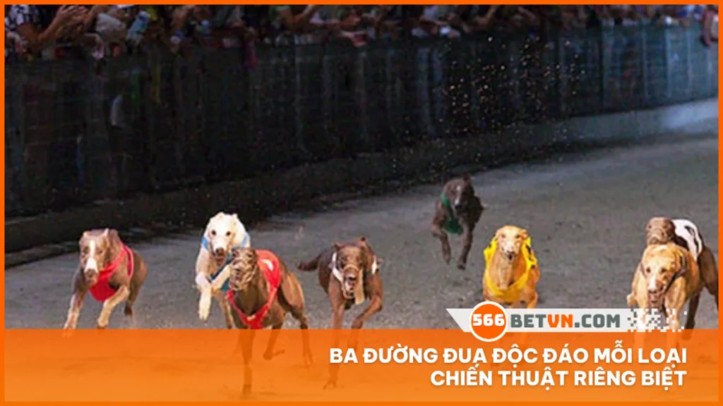 Ba đường đua độc đáo mỗi loại chiến thuật riêng biệt