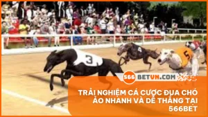 Trải nghiệm cá cược đua chó ảo nhanh và dễ thắng tại 566BET
